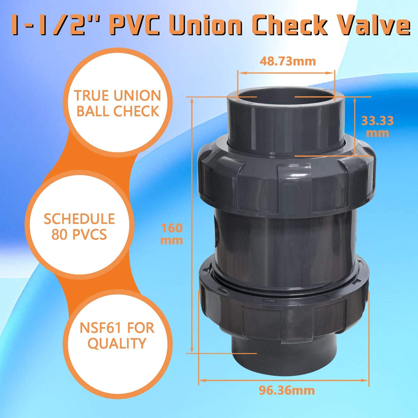 PVC True Union Check Valve