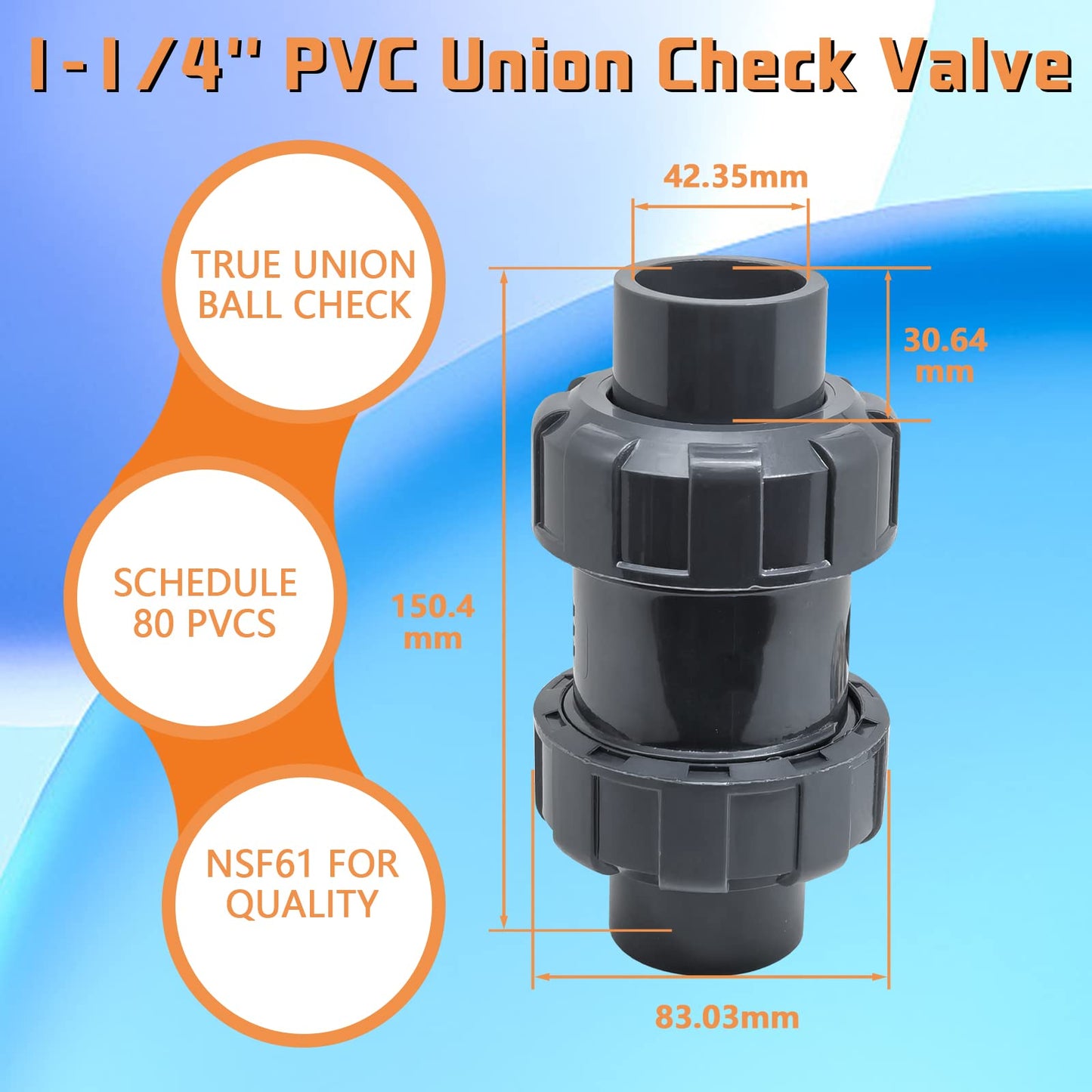 PVC True Union Check Valve