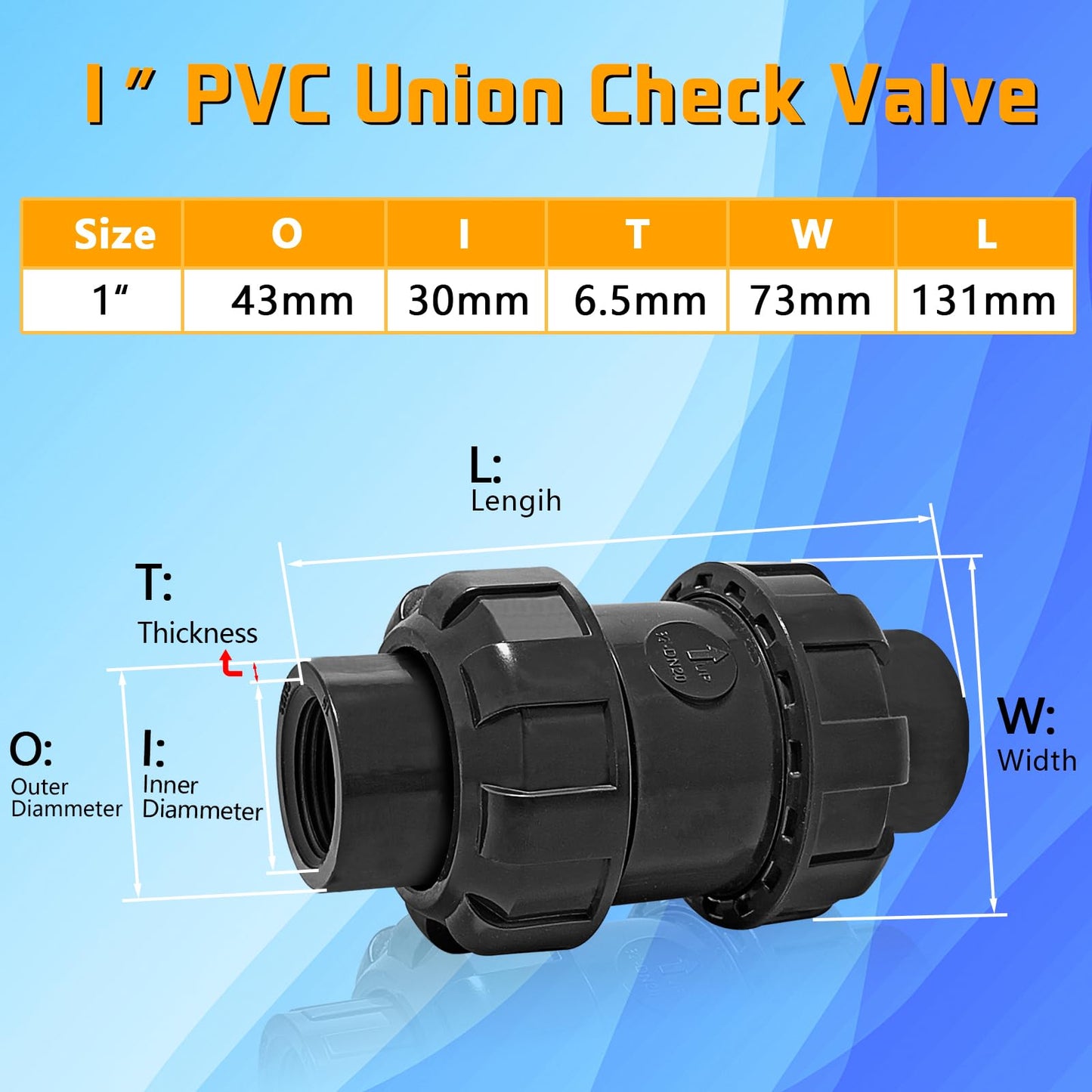 3/4'' NPT UPVC Spring Check Valve