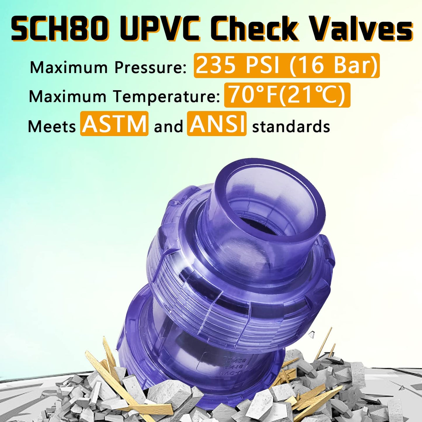 Double True Union Check Valve