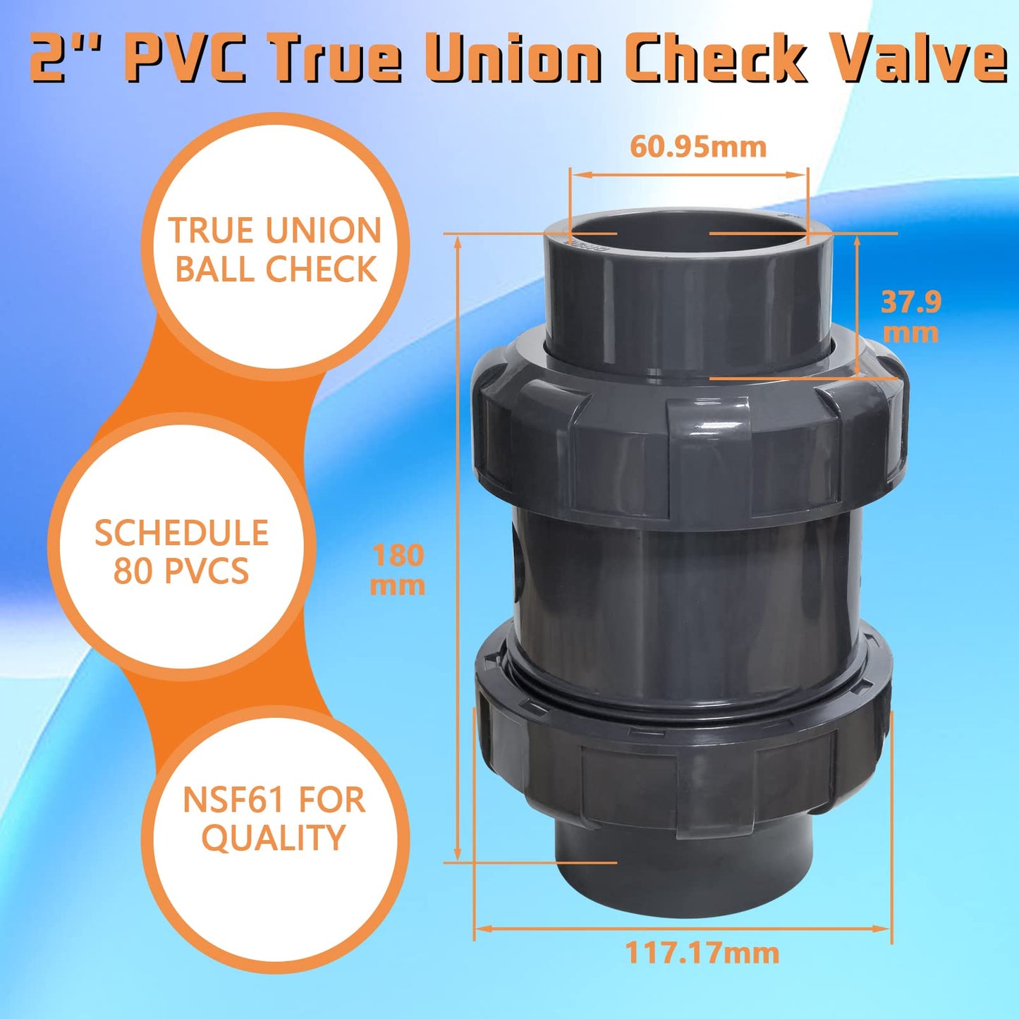 PVC True Union Check Valve