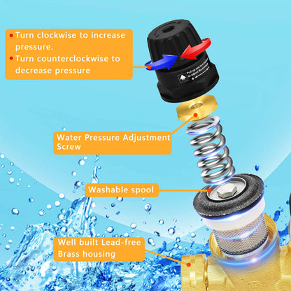 RV Water Pressure Regulator with Gauge